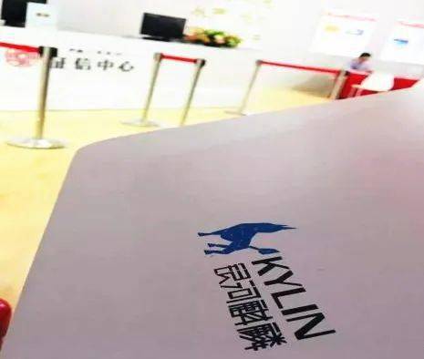 立春這一天,我們想秀一秀銀河麒麟的定制化業(yè)務(wù)