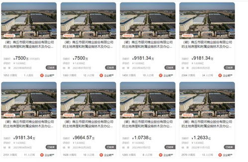 商丘市銀河棉業破產,大型廠房第八次拍賣,7500萬就成交了